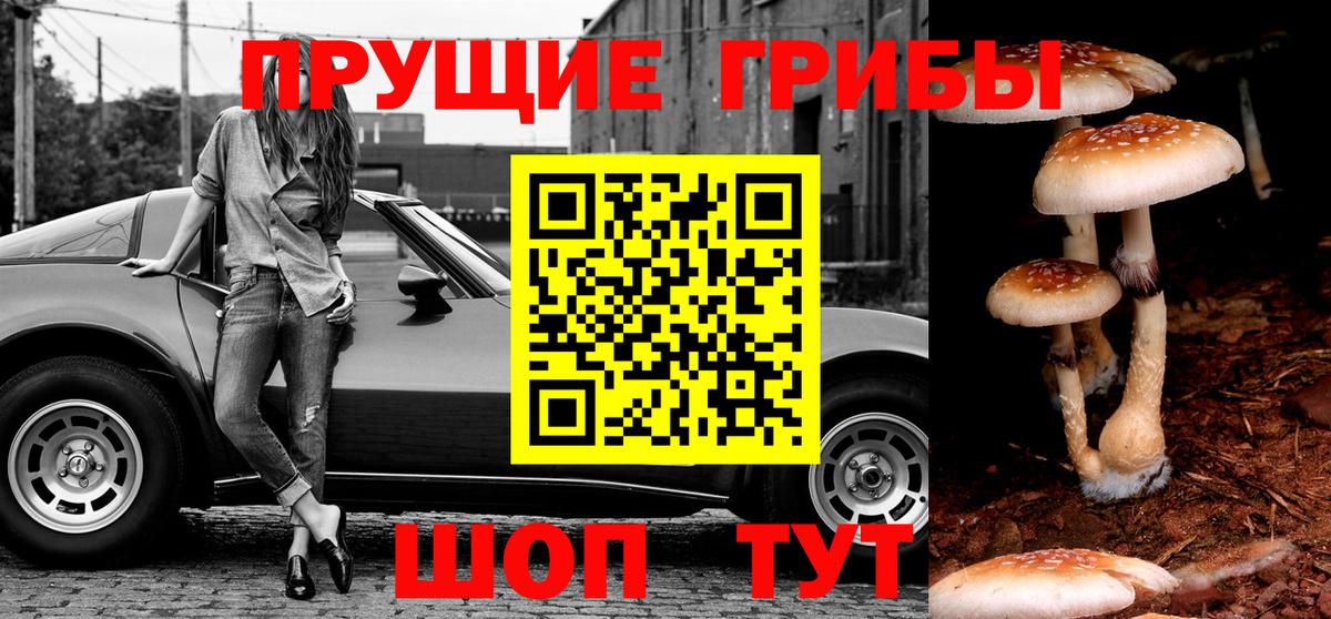 Карасук  Галлюциногенные грибы прущие грибы  Вход с VPN 