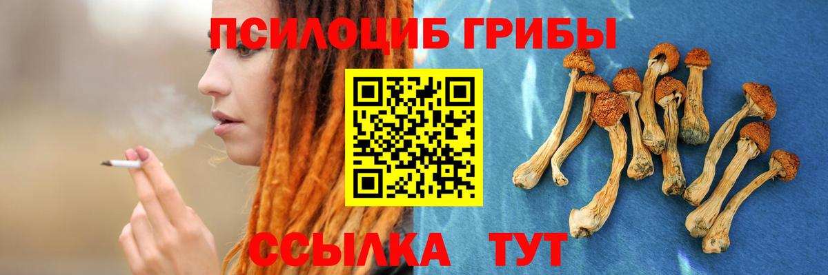 Галлюциногенные грибы Cubensis Карасук
